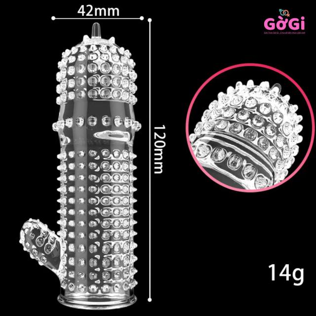 BCS Đôn Dên Gai Bi Kèm Nhánh Kích Thích 12cm – 4.2cm