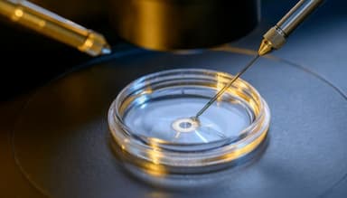 Khi nào cần làm thụ tinh trong ống nghiệm (IVF)?