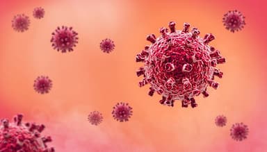 Bệnh lậu (Gonorrhea): Nguyên nhân, triệu chứng và cách điều trị